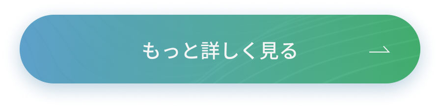 もっと詳しく見る