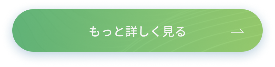 もっと詳しく見る