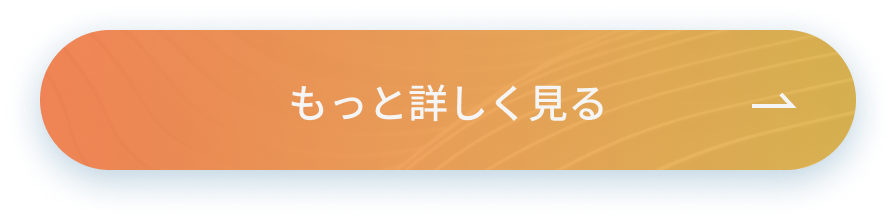 もっと詳しく見る