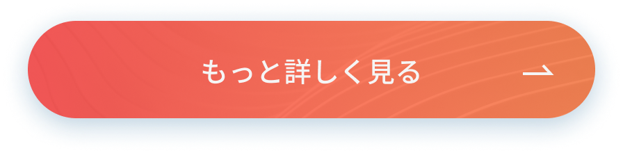 もっと詳しく見る